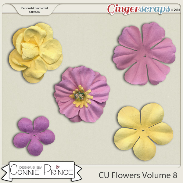 Commercial Use Flowers Volume 8 by Connie Prince.