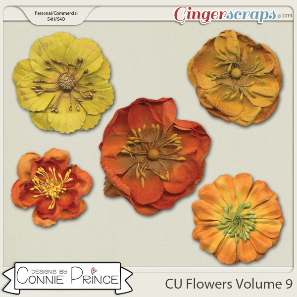 Commercial Use Flowers Volume 9 by Connie Prince