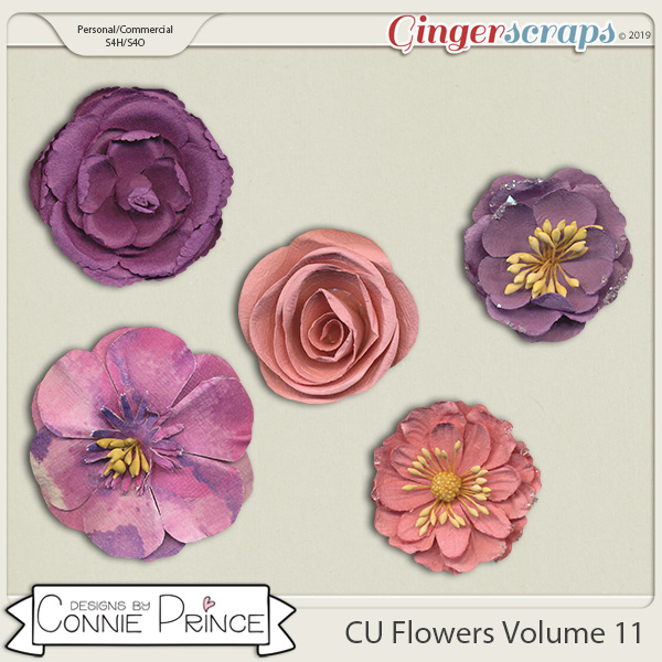 Commercial Use Flowers Volume 11 by Connie Prince