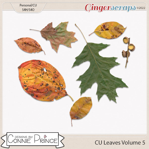 Commercial Use Leaves Volume 5 by Connie Prince