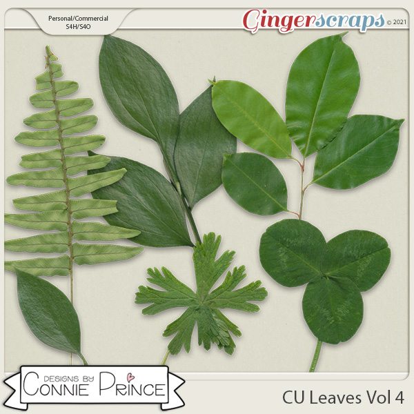 Commercial Use Leaves Volume 4 by Connie Prince