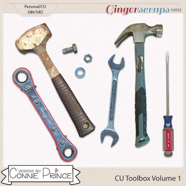 Commercial Use Toolbox Volume 1 by Connie Prince