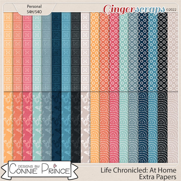 Life Chronicled: At Home - Extra Papers by Connie Prince