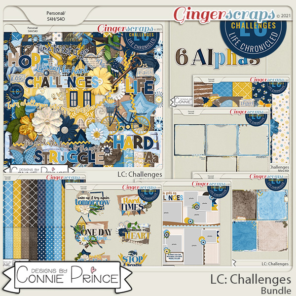 Life Chronicled: Challenges - Bundle by Connie Prince