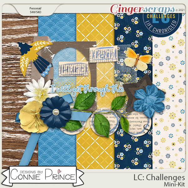 Life Chronicled: Challenges - MiniKit by Connie Prince