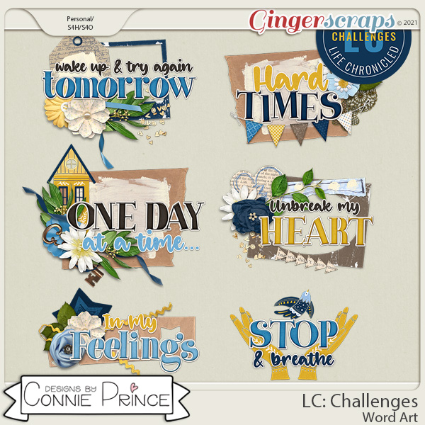 Life Chronicled: Challenges - Word Art Pack by Connie Prince