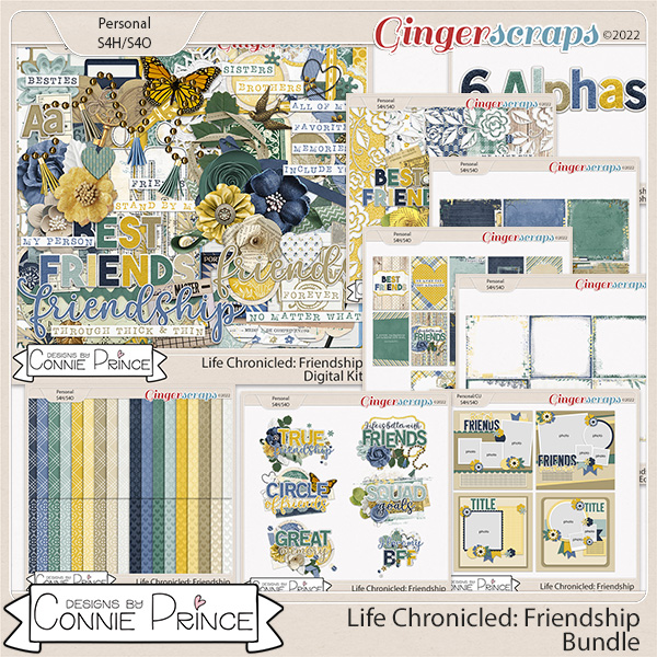 Life Chronicled: Friendship - Bundle by Connie Prince