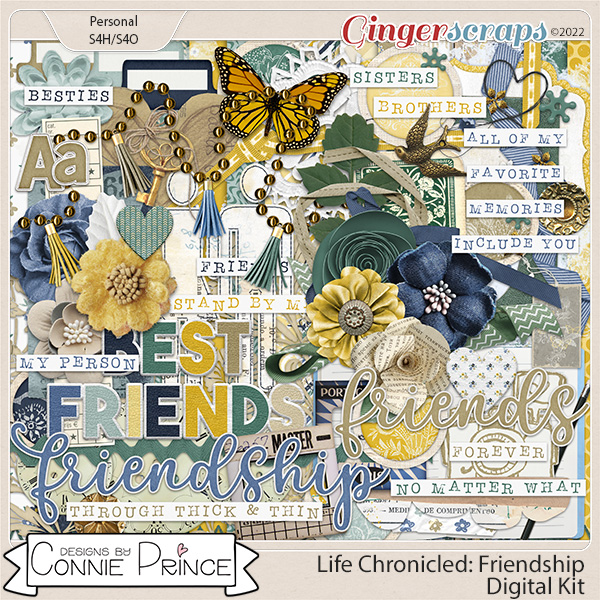 Life Chronicled: Friendship - Kit by Connie Prince