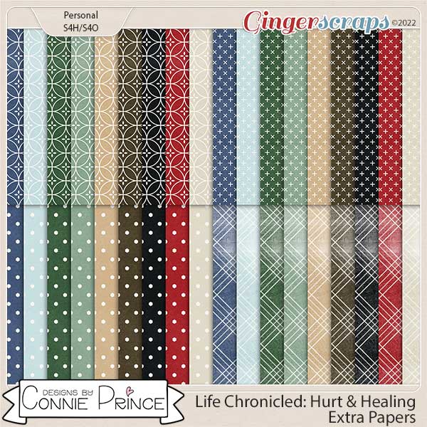 Life Chronicled: Hurt & Healing - Extra Papers by Connie Prince