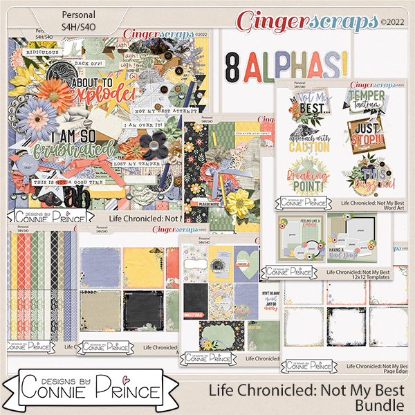 Life Chronicled: Not My Best - Bundle by Connie Prince