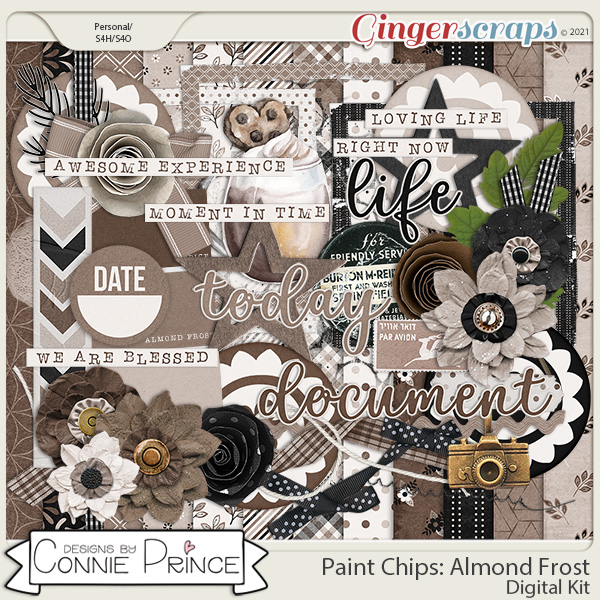 Paint Chips Almond Frost - Kit by Connie Prince