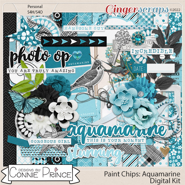 Paint Chips Aquamarine - Kit by Connie Prince