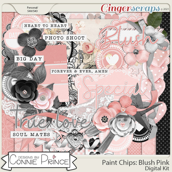 Paint Chips Blush Pink - Kit by Connie Prince