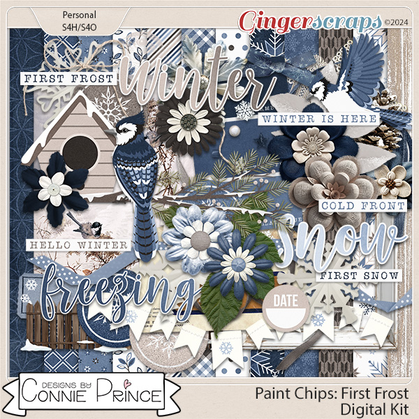 Paint Chips First Frost - Kit by Connie Prince