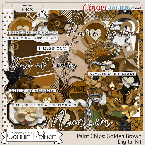 Paint Chips Golden Brown - Kit by Connie Prince