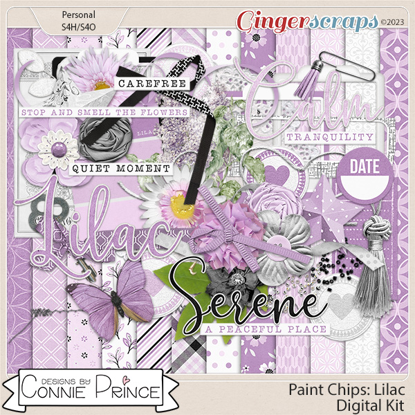 Paint Chips Lilac - Kit by Connie Prince