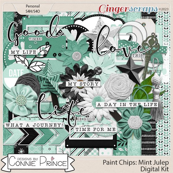 Paint Chips Mint Julep - Kit by Connie Prince