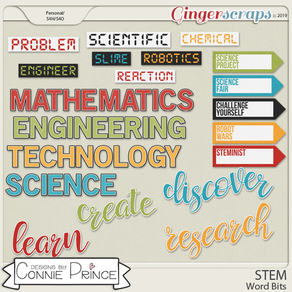 STEM - Word Bits by Connie Prince
