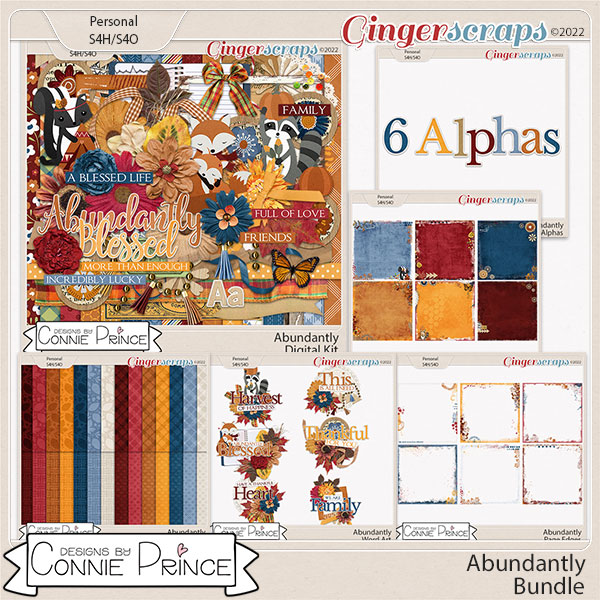 Abundantly - Bundle by Connie Prince