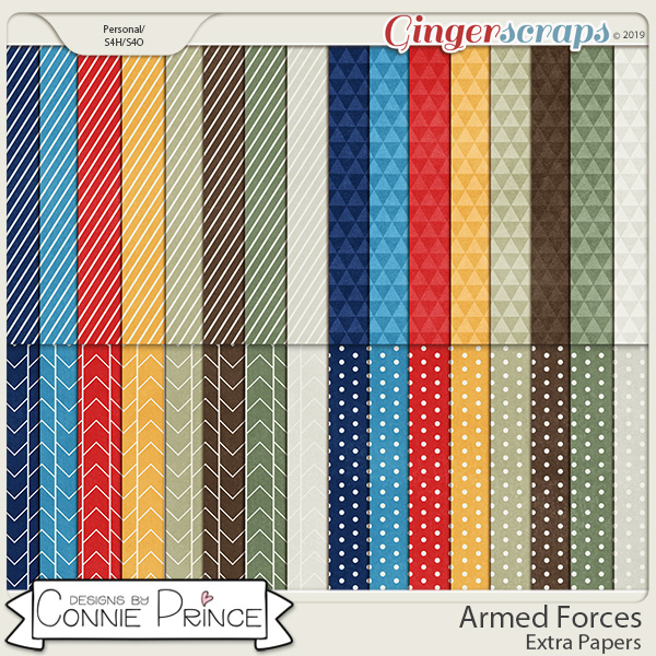 Armed Forces - Extra Papers by Connie Prince