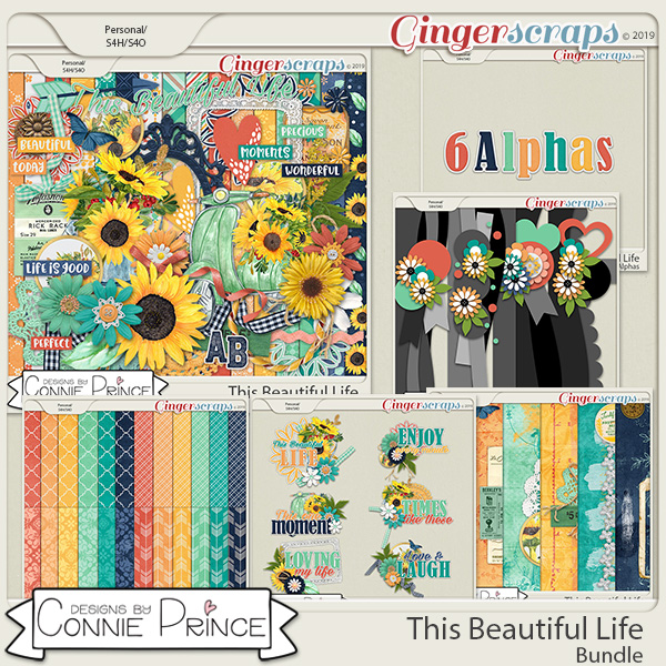 This Beautiful Life - Bundle by Connie Prince