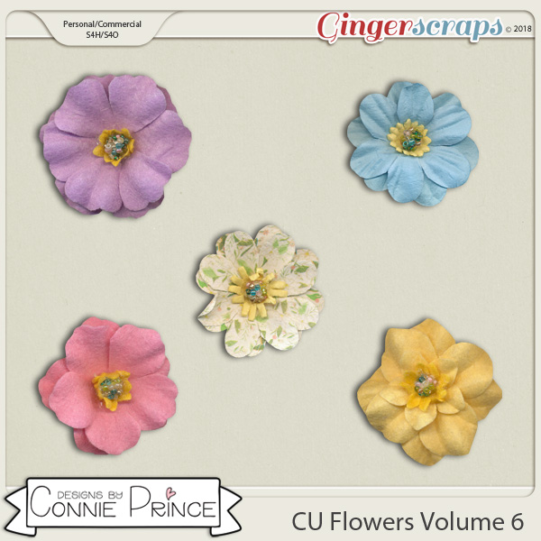 Commercial Use Flowers Volume 6 by Connie Prince.