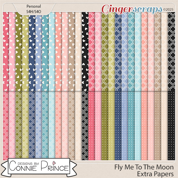 Fly Me To The Moon - Extra Papers by Connie Prince