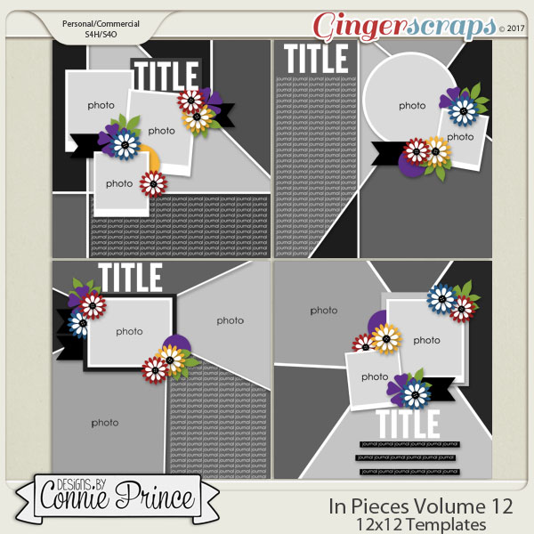 In Pieces Volume 12 - 12x12 Temps (CU Ok)
