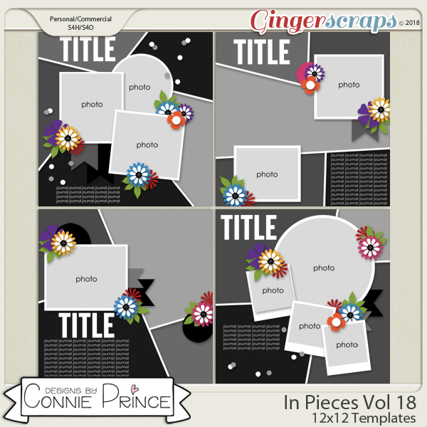 In Pieces Volume 18 - 12x12 Temps (CU Ok) by Connie Prince