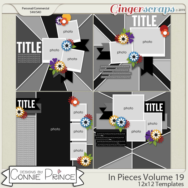 In Pieces Volume 19 - 12x12 Temps (CU Ok) by Connie Prince