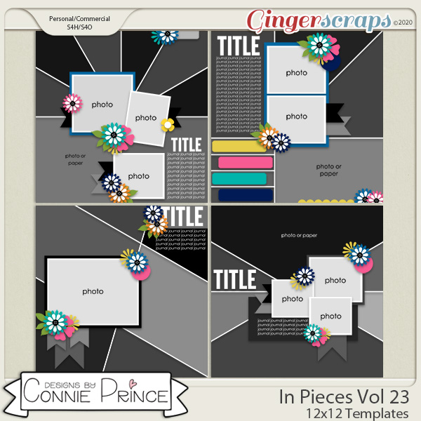In Pieces Volume 23 - 12x12 Temps (CU Ok) by Connie Prince
