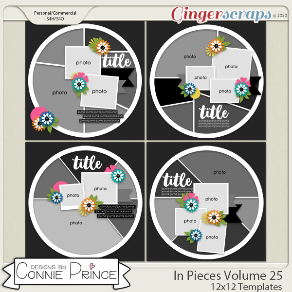 In Pieces Volume 25 - 12x12 Temps (CU Ok) by Connie Prince