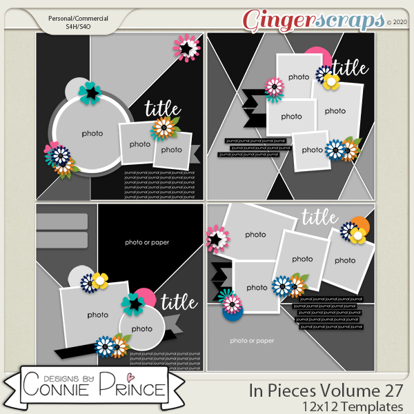 In Pieces Volume 27 - 12x12 Temps (CU Ok) by Connie Prince