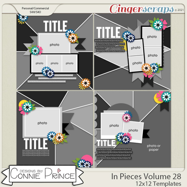 In Pieces Volume 28 - 12x12 Temps (CU Ok) by Connie Prince