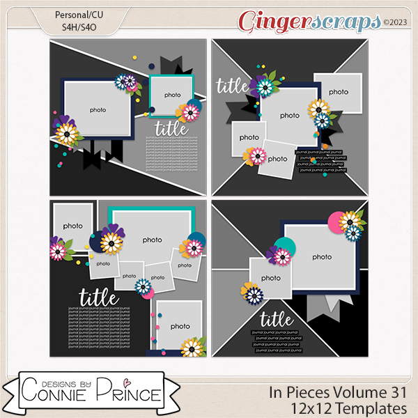 In Pieces Volume 31 - 12x12 Temps (CU Ok) by Connie Prince