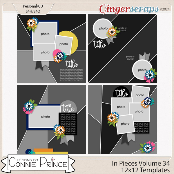 In Pieces Volume 34  - 12x12 Temps (CU Ok) by Connie Prince