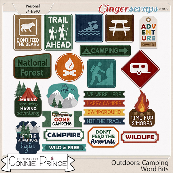 Outdoors: Camping - Word Bits by Connie Prince