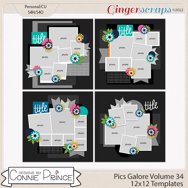 Pics Galore Volume 34 - 12x12 Temps (CU Ok) by Connie Prince