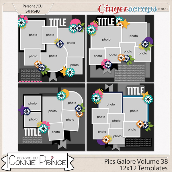 Pics Galore Volume 38 - 12x12 Temps (CU Ok) by Connie Prince