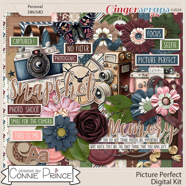 Picture Perfect - Kit by Connie Prince