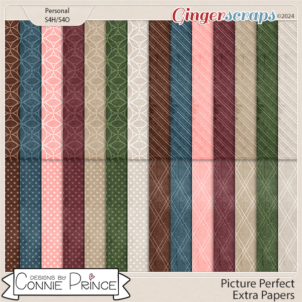 Picture Perfect - Extra Papers by Connie Prince