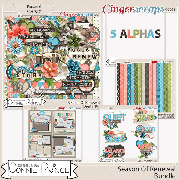 Season Of Renewal - Bundle by Connie Prince