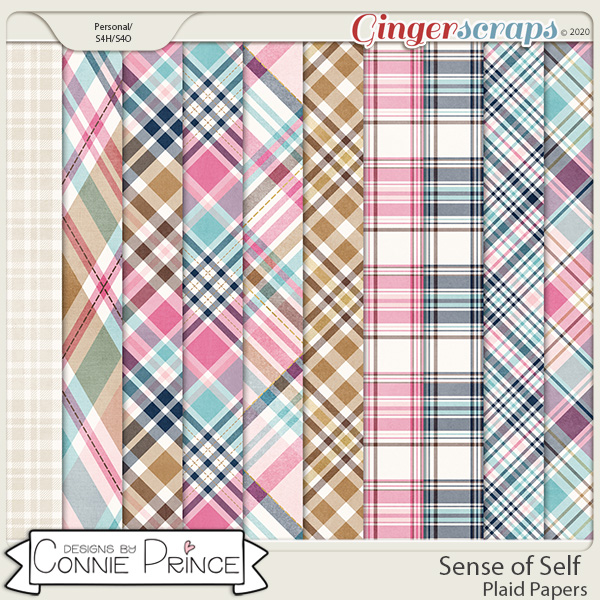 Sense of Self - Plaid Papers by Connie Prince