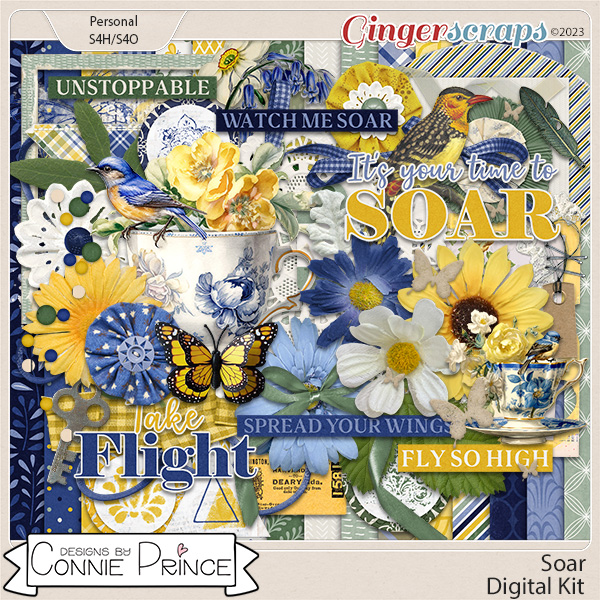 Soar - Kit by Connie Prince