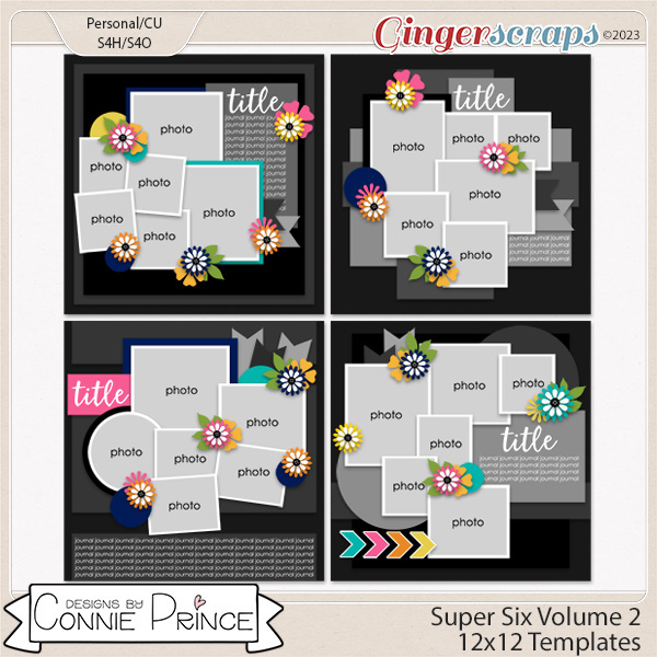 Super Six Volume 2 - 12x12 Temps (CU Ok) by Connie Prince
