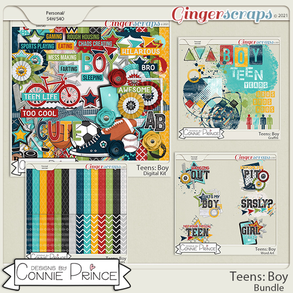 Teens: Boy - Bundle by Connie Prince