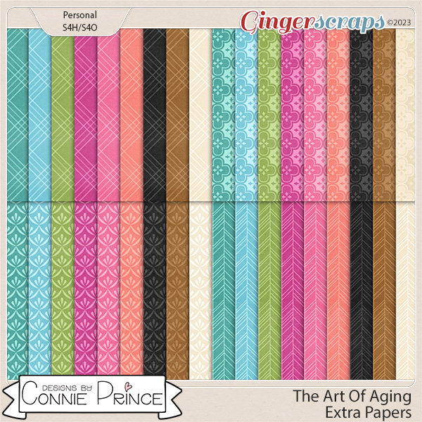The Art Of Aging - Extra Papers by Connie Prince