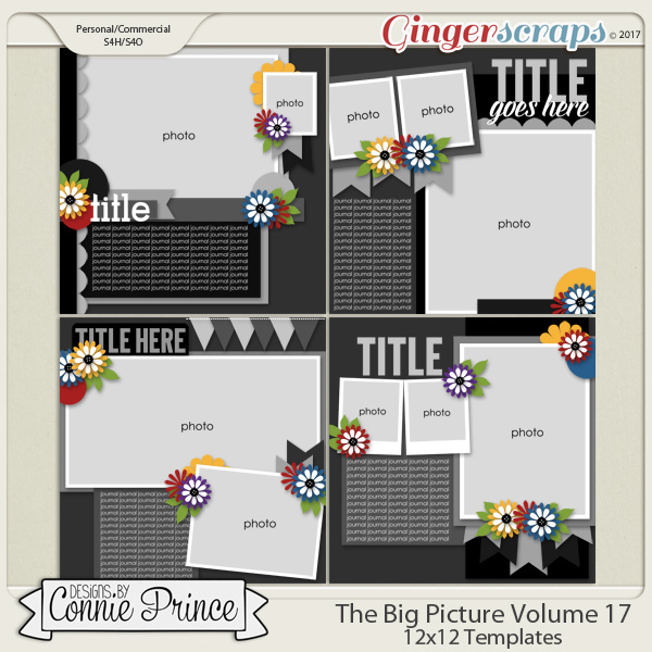 The Big Picture Volume 17 - 12x12 Temps (CU Ok)