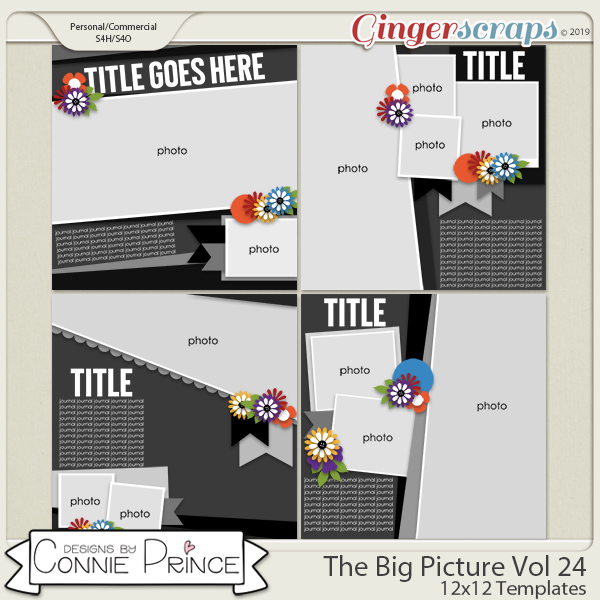 The Big Picture Volume 24 - 12x12 Temps (CU Ok) by Connie Prince