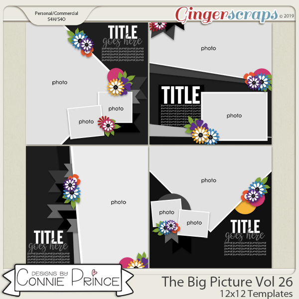 The Big Picture Volume 26 - 12x12 Temps (CU Ok) by Connie Prince